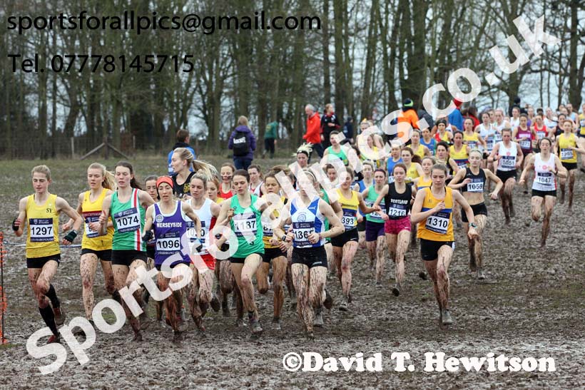 Senior womens 2018 British Inter Counties Cross Country Champs., Prestwold Hall, Loughborough. Photo: David T. Hewitson/Sports for All Pics